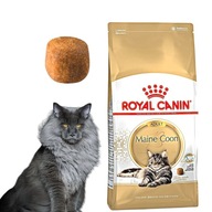 Sucha karma dla dorosłych kotów rasy Maine Coon ROYAL CANIN Opakowanie 2 kg