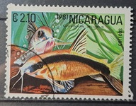 Ryby (kas) - luzak - do uzupełnień 13/7