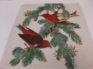 PODUSZKA OZDOBNA SKANDYNAWSKA POSZEWKA NA PODUSZKĘ PTAKI