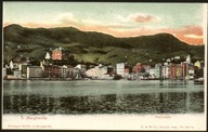 S. Margherita. Panorama - H. G. & Co. N17 1900