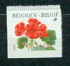 BELGIA** Kwiaty, pelargonie Mi 2902