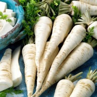 Nasiona PremiumSeeds pietruszki berlińskiej Halblange 5 g