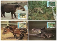 10-MC-GK16- Nikaragua 1985-Taspiry