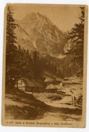 ZAKOPANE - TATRY - HALA W DOLINIE STRĄŻYSKIEJ