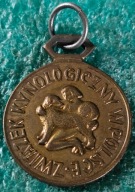 MEDAL ZWIĄZEK KYNOLOGICZNY W POLSCE - WYSTAWA PSÓW WROCŁAW 17V64