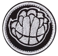 NBA _ MEMPHIS GRIZZLIES ___ ŁATKA, NASZYWKA 6cm