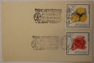 1000 TYSIĄC LAT PAŃSTWA POLSKIEGO 1966