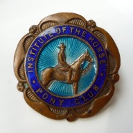 INSTYTUTE OF THE HORSE - PONY CLUB - ANGLIA - KLUB JEŹDZIECKI - JAZDA KONNA