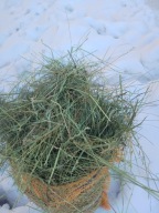 siano dla gryzoni 2,5 KG