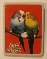 PŁOCK - ZOO PŁOCK - CIEKAWA PRZYPINKA