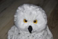 pluszak maskotka cudna sowa śnieżna Suki 30 cm