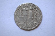 Zakon Krzyżacki Walter von Plettenberg 1450-1535 AD Wenden szyling