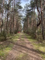 Działka, Dzbądz, Różan, Makowski, 1885 m²