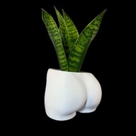 Doniczka Dekoracyjna Osłonka Pupa Biała śmieszny oryginalny prezent gadżet