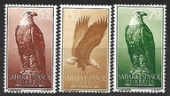 Sahara hiszp. x U390 fauna orzeł MVLH