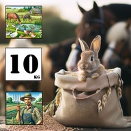 Owies paszowy ziarno 10kg - prosto od rolnika