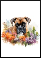 A2 PLAKAT PIES W KWIATACH RASA BOSTON BOKSER