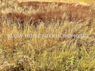 Działka, Łady, Raszyn, Pruszkowski, 1200 m²