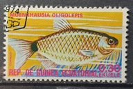 Ryby (kas) - luzak - do uzupełnień 13/8