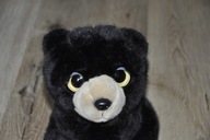 pluszak maskotka uroczy miś misio niedźwiadek Midnight od TY