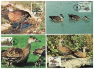 10-MC-GK27- Wyspa Bahama,WWF,1988- Kaczki egzotyczne