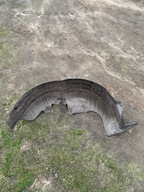 NADKOLE LEWY TYŁ TYLNE ORYGINAŁ KOMBI FORD FOCUS MK4 IV 20R