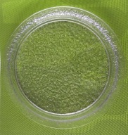 TALERZ PATERA SZKLANA HSG ZĄBKOWICE Z OKRESU PRL