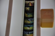 RZUTNIK ANIA BAJKA - CHCIWY KRUK