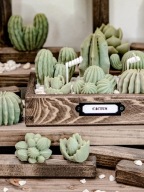 KAKTUS GLOW – świeca kaktusy w skrzynce z grysem Na prezent