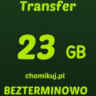 Transfer chomikuj 23 GB BEZTERMINOWO
