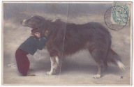 Pies Psy border collie ? i małpa uczłowieczona Żołnierz 1905r.