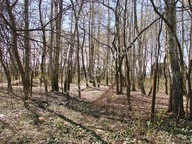 Działka, Milanówek, Grodziski, 1953 m²