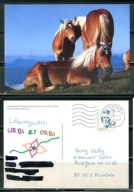 K24714)Karta Zwierzecia: Kon Haflinger, wyslany