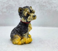 YORK jork piesek rasowy szczeniaczek Yorczek jak żywy - cudny psiaczek