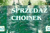 BANER PLANDEKA SPRZEDAŻ CHOINEK CHOINKA 120X80