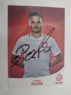 Karta Klubowa Polska Sławomir Peszko PZPN Reprezentacja