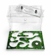 Formikarium akrylowe do hodowli mrówek Nowe