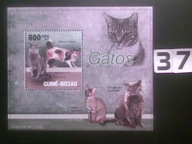 Koty , Guine-Bissau MNH