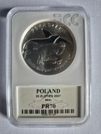 20 zł 2007 FOKA SZARA PR -70 SLAB