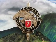 ODZNAKA WOJSKOWA -FRANCJA