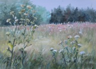 Akwarela Sabina Salamon 28x38 pejzaż las łąki