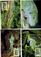 A41605)WWF-Maximum Karty Gady i Plazy: Tonga 1140 - 1143