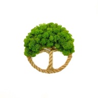 Drzewko Szczęścia Chrobotek, żywy obraz handmade, dekoracja na ścianę 25cm