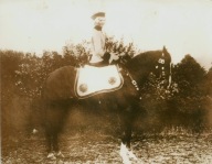 KOŃ RASY ARABSKIEJ DAMA FORMAT 18X23 CM OK.1900R.