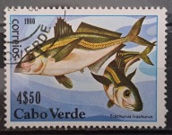 Ryby (**) - luzak - do uzupełnień 13/1