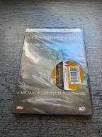 Narodziny oceanu. 4 miliardy lat życia w oceanie płyta DVD