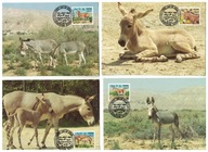 9-GH57- Sudan,1994, Osły