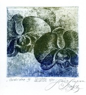 "Orchidee III" akwaforta, akwatinta, 10x10/16 x 16 cm