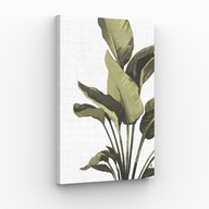 Obraz na płótnie 30x40 Tropikalne kształty kwiaty natura| Pomysł na prezent