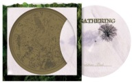 666 THE GATHERING nighttime birds pictureLP ltd NOWY WYSYŁ 0